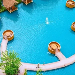 Bubble in the Forest Cafe