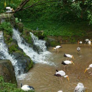 tours and travel to Kuala Lumpur Malaysia - Kuala Lumpur tours - Tour and trips in Kuala Lumpur