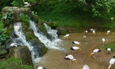 tours and travel to Kuala Lumpur Malaysia - Kuala Lumpur tours - Tour and trips in Kuala Lumpur