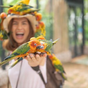 Asian beautiful woman enjoying with love bird on hand and body,
